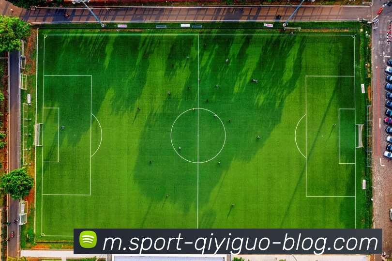 奇异果体育平台生态图