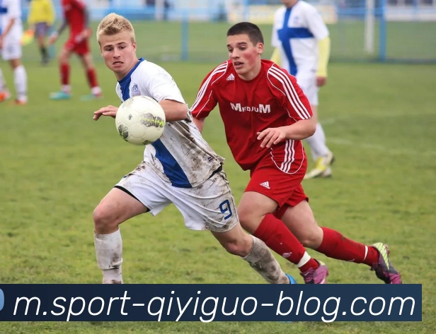 奇异果体育全站App